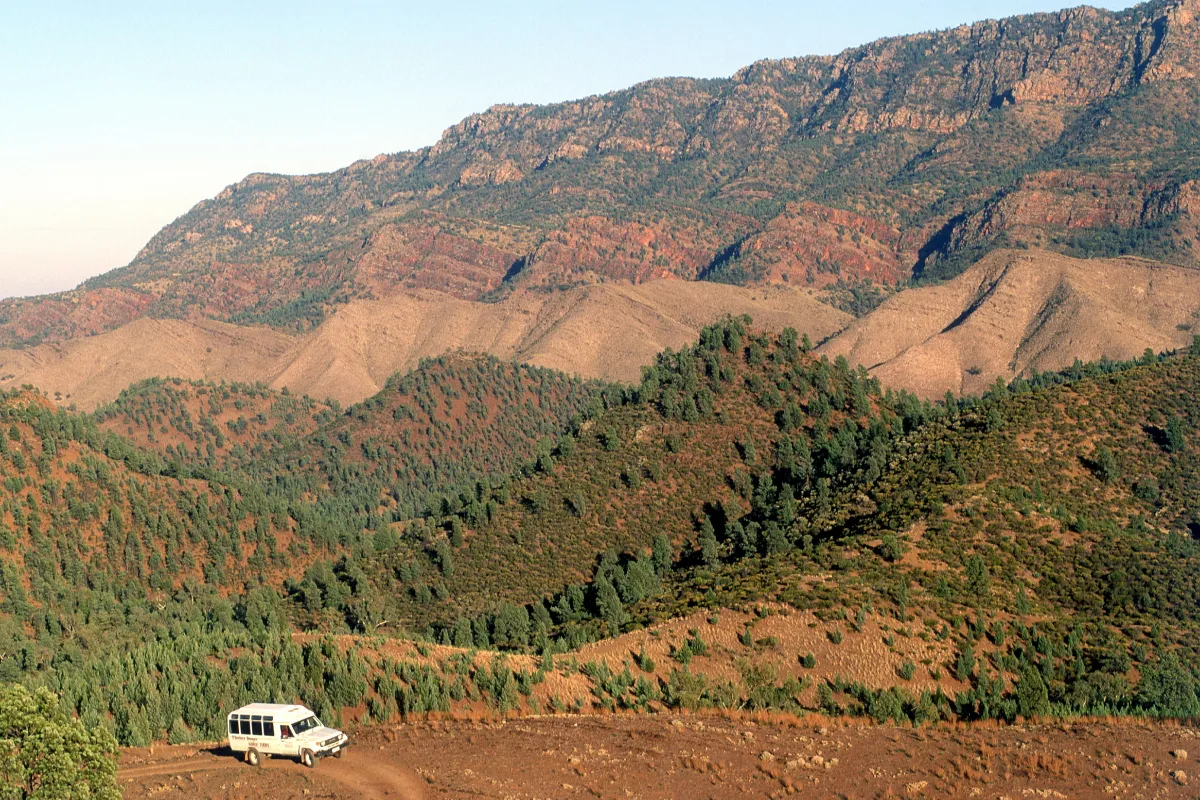 Australian Delight - Self Drive